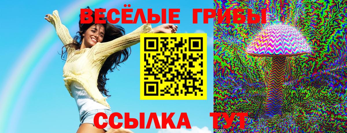 Галлюциногенные грибы прущие грибы  Вход с VPN  Углич  Псилоцибиновые грибы Magic Shrooms 